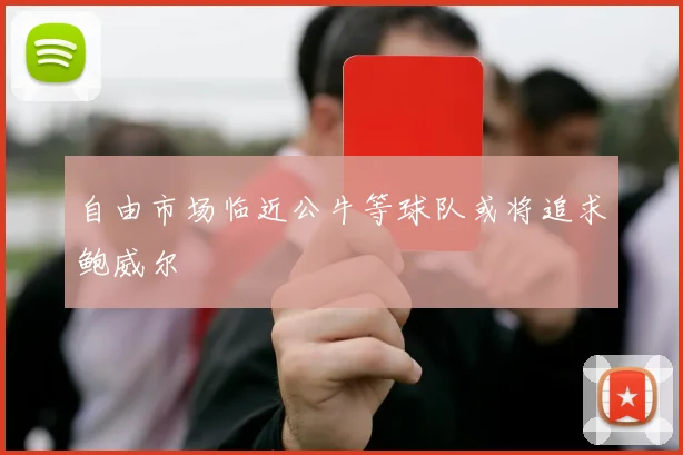 自由市场临近公牛等球队或将追求鲍威尔